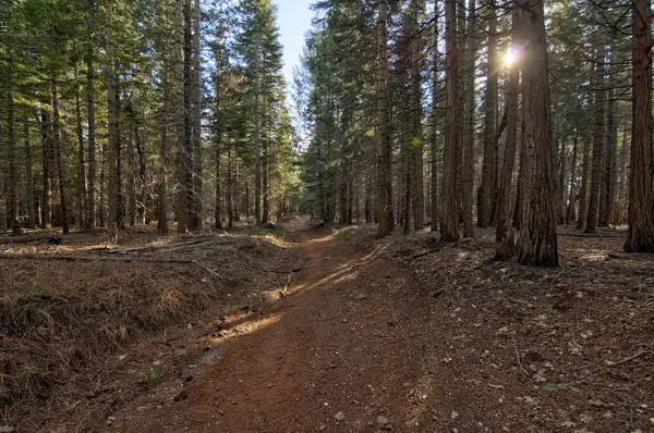 680 Sugar Pine Road, Alta, CA 95701