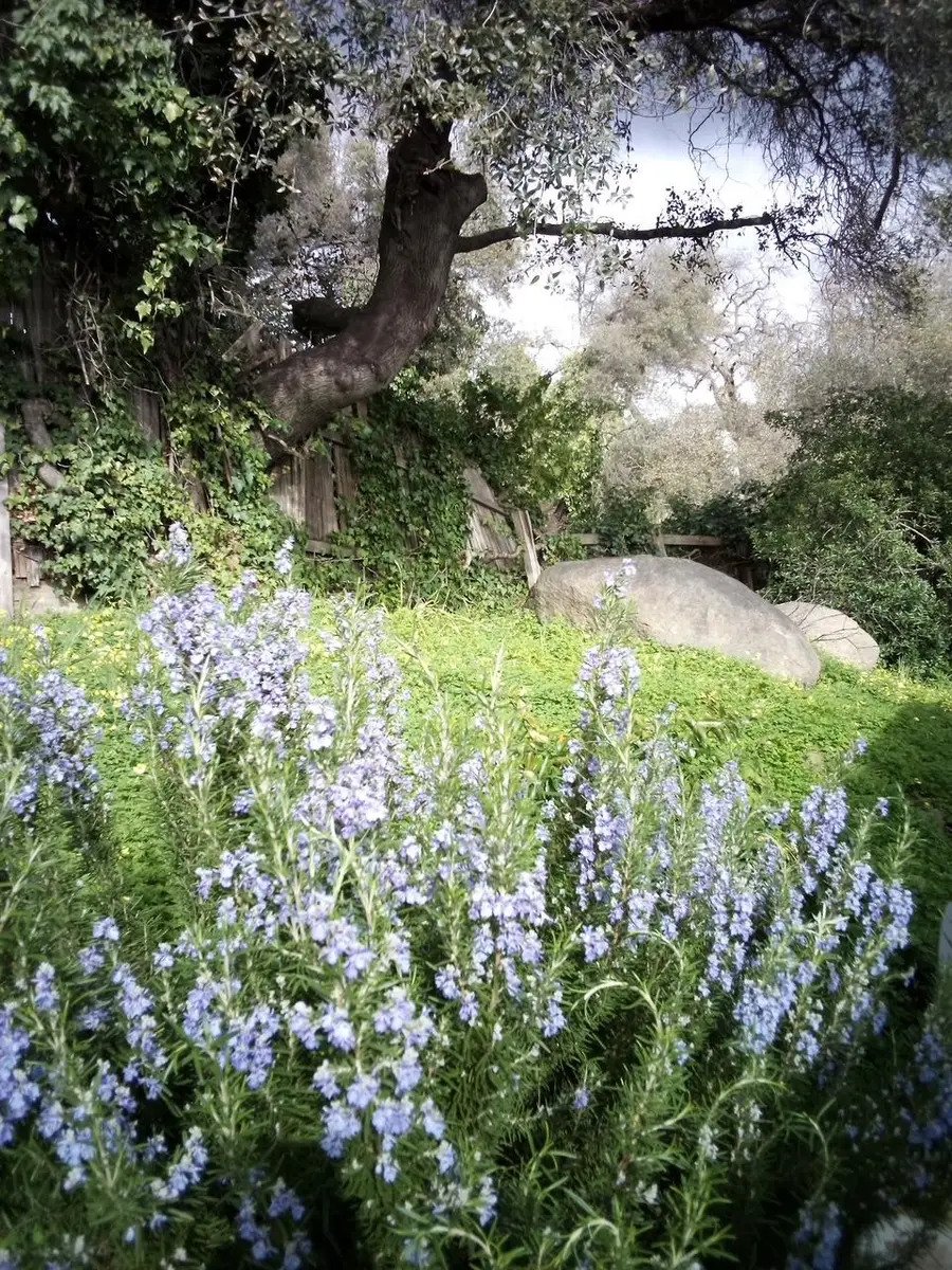 4800 Auburn Folsom Road #29, Loomis, CA 95650 - #3