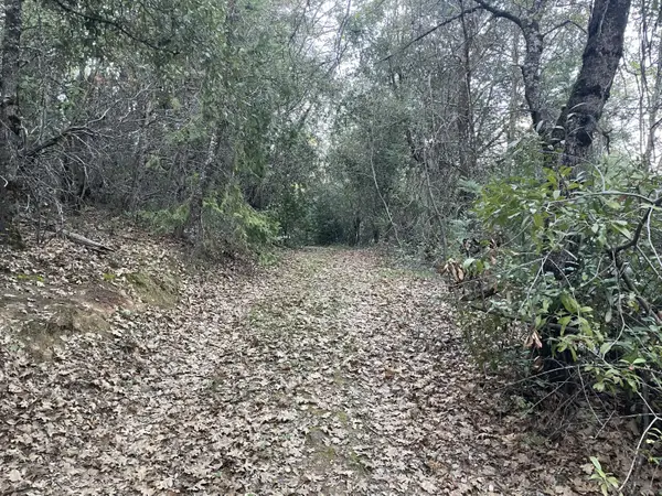 0 Defender Grade, Pioneer, CA 95666