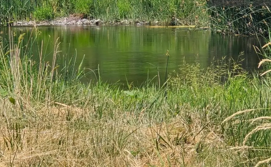 4204 State Highway 263, Yreka, CA 96097 - #2