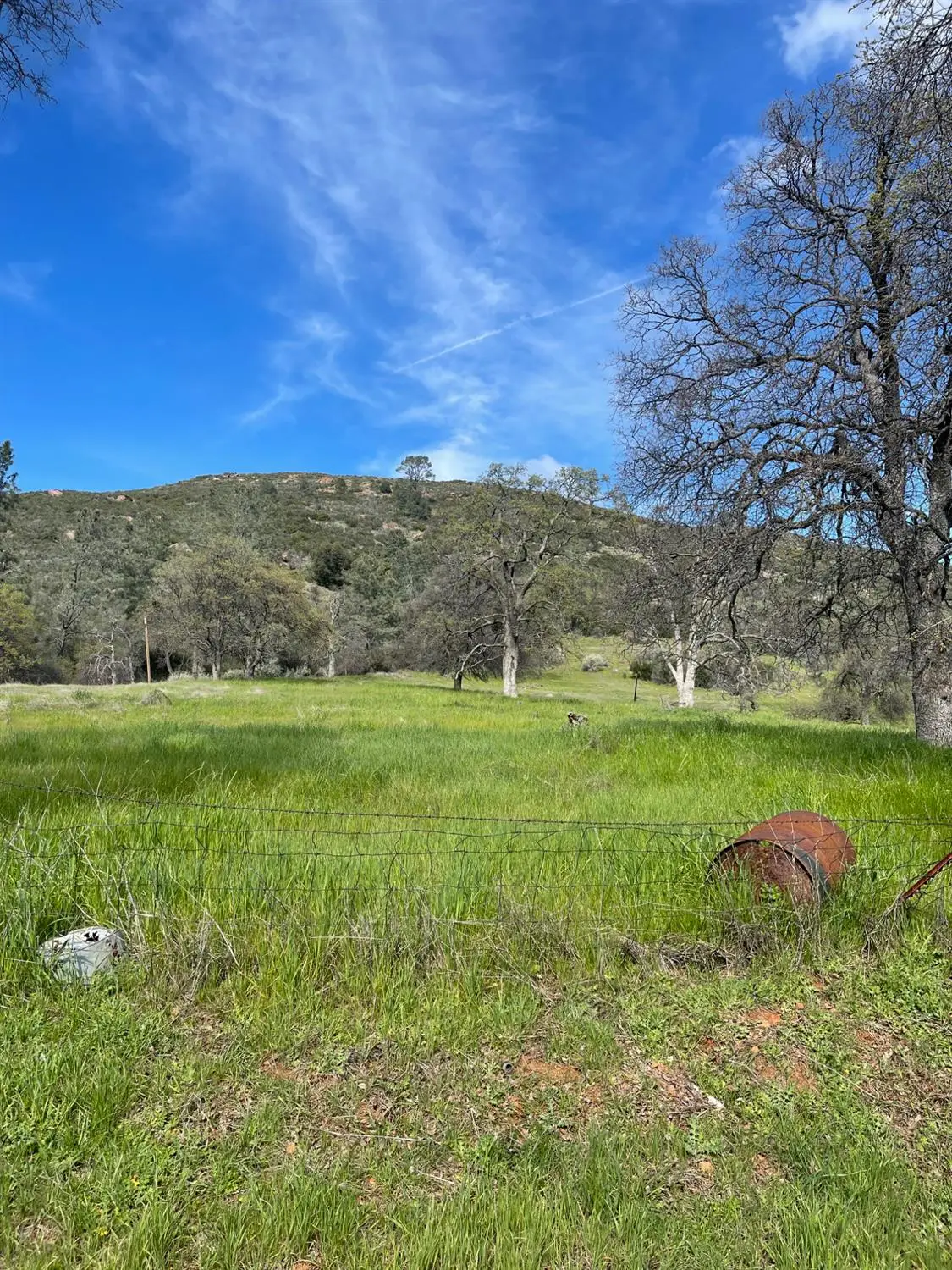 4223 Penon Blanco Road, Coulterville, CA 95311 - #1