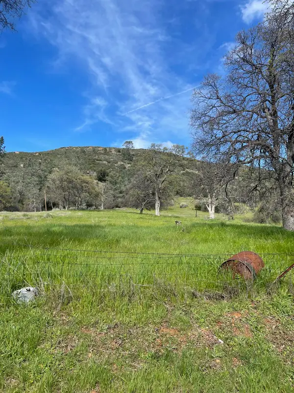 4223 Penon Blanco Road, Coulterville, CA 95311