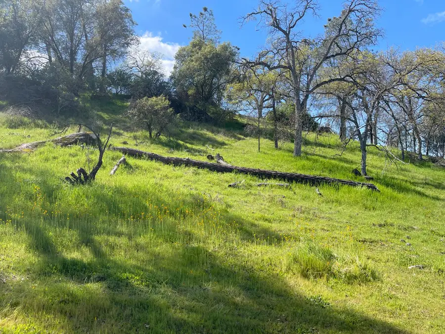 0 Depp Fore4st Drive, Coarsegold, CA 93614 - #3