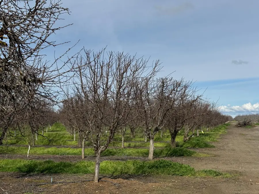 6722 Bryden Road, Marysville, CA 95901 - #3