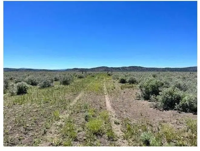 9999 Prairie Drive, Termo, CA 96132 - #2