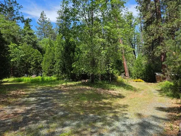 4801 Blue Mountain Road, Wilseyville, CA 95257