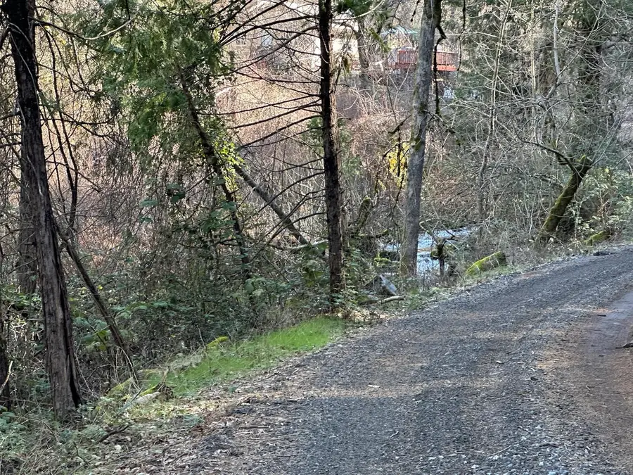 0 NE Treasure Rock Lane, Placerville, CA 95667 - #2