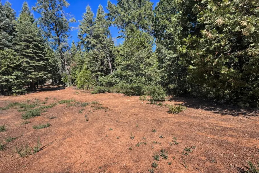 14666 Woolford Mill Road, Nevada City, CA 95959 - #2