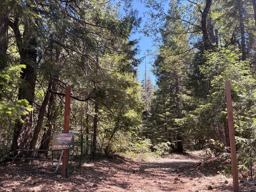 14666 Woolford Mill Road, Nevada City, CA 95959 - #3