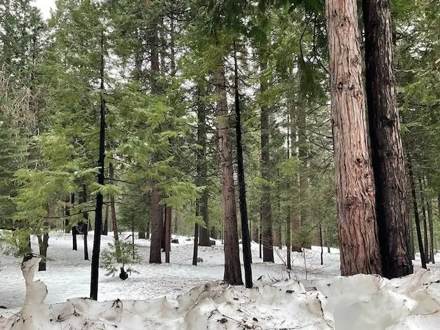 3065 Apache Road, Arnold, CA 95223 - #1