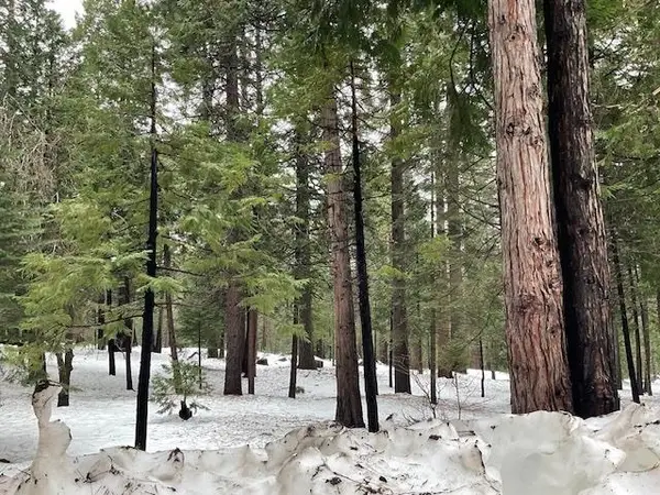 3065 Apache Road, Arnold, CA 95223