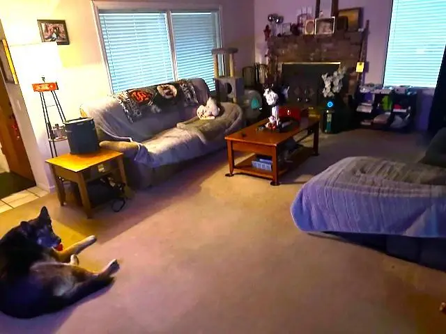 8422 Ancho Way, Elverta, CA 95626 - #3