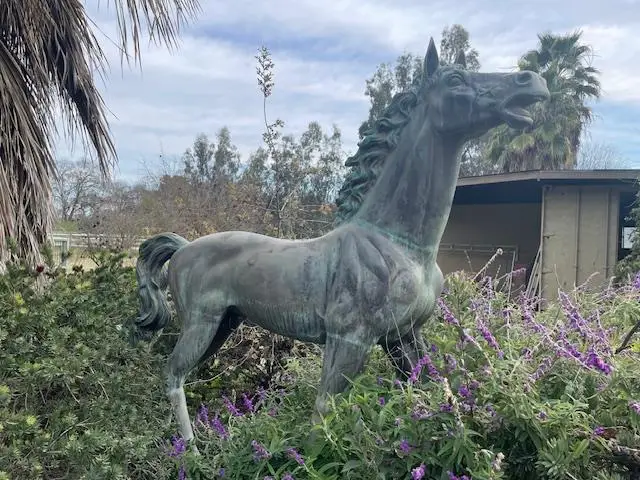 28108 Thornton Road, Thornton, CA 95632 - #3