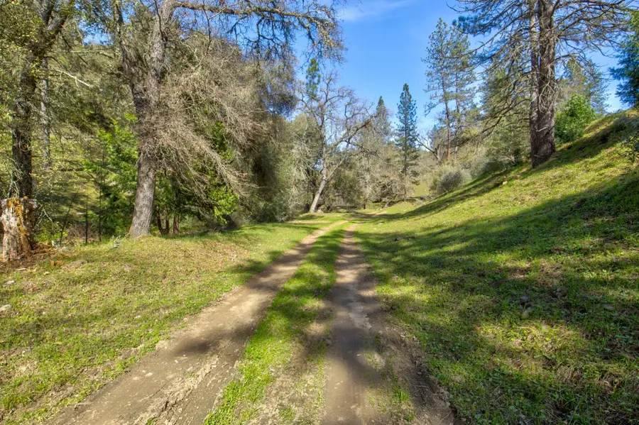 12442 Trembath Mtn Road, Fiddletown, CA 95629 - #2