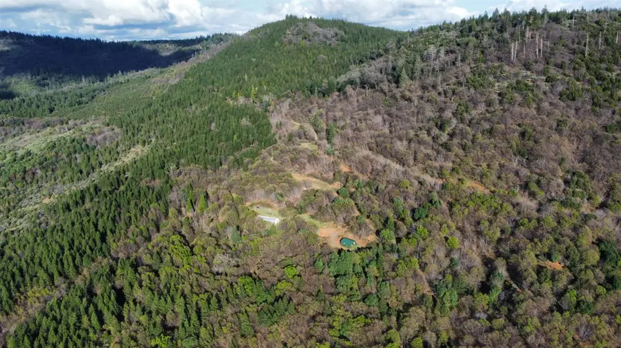 15244 Fountain House Road, Dobbins, CA 95935 - #3