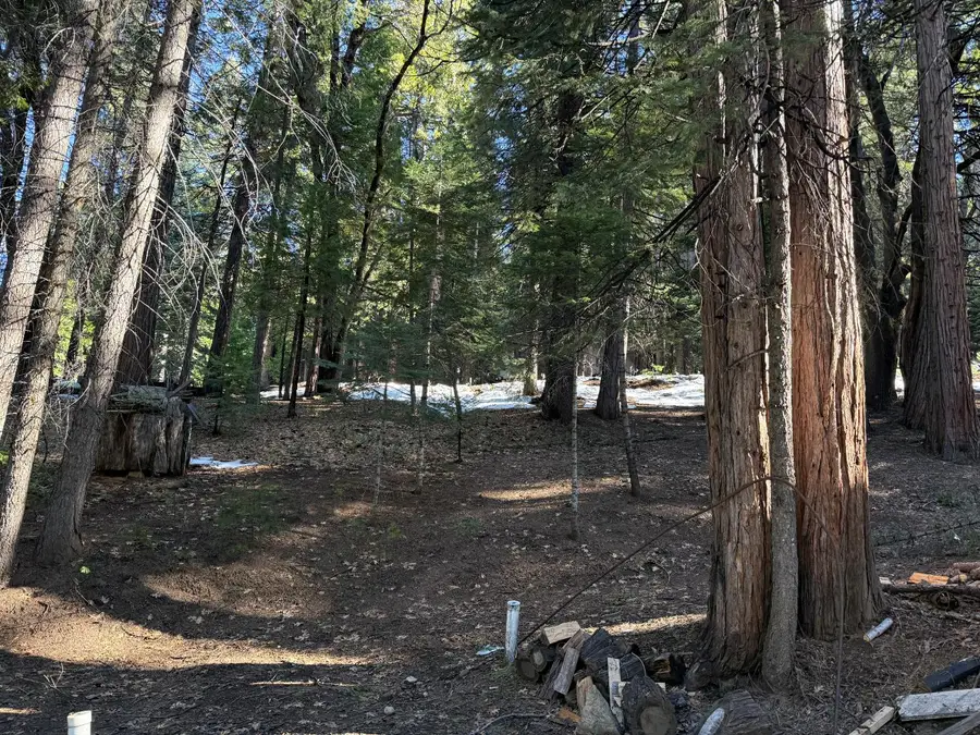 392 Boards Crossing Road, Arnold, CA 95223 - #3