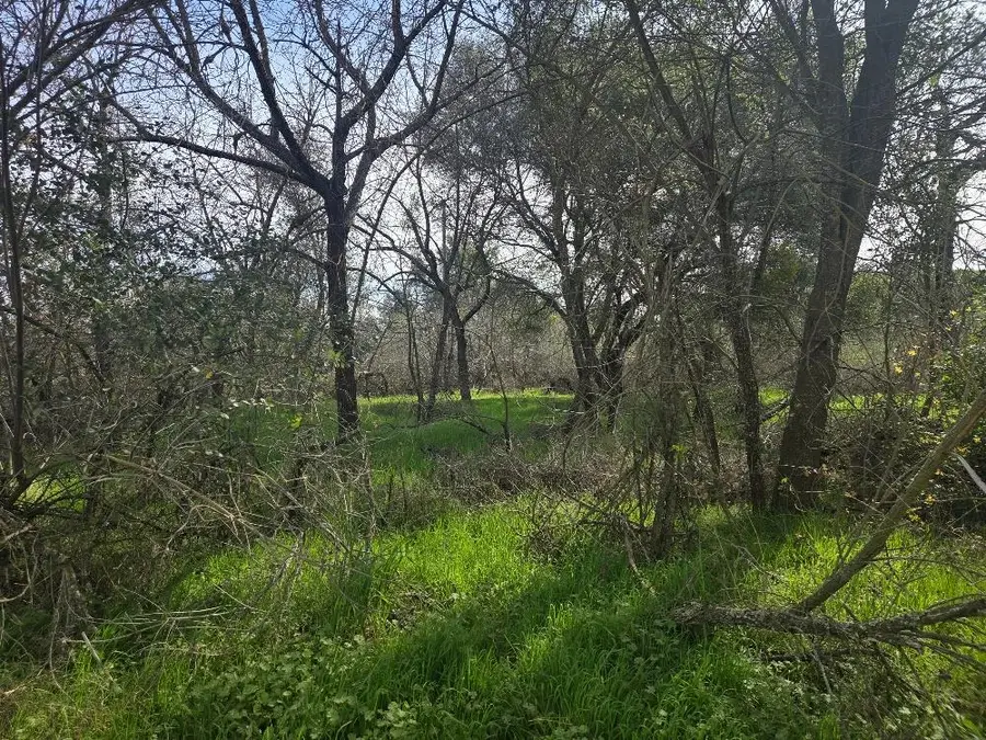 7824 Bollea Road, Wallace, CA 95254 - #2