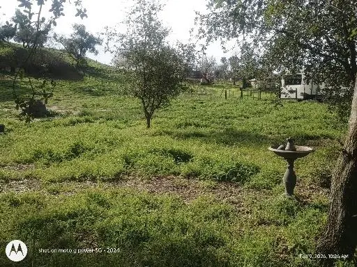 7824 Bollea Road, Wallace, CA 95254 - #3