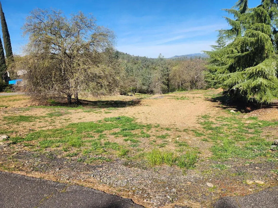 4464 Moccasin Court, Copperopolis, CA 95228 - #1