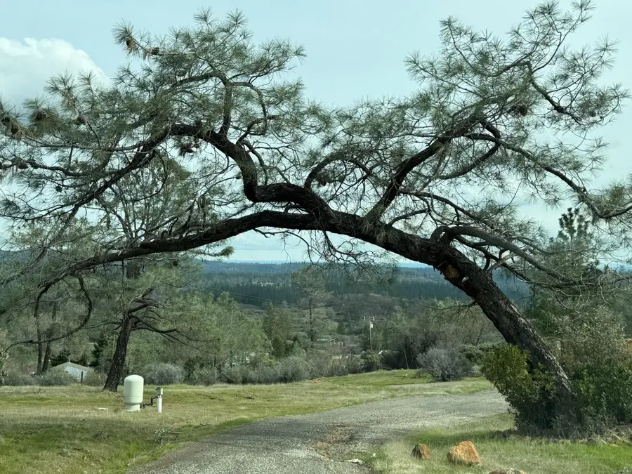 14292 W Van Tam Way, Grass Valley, CA 95949 - #2