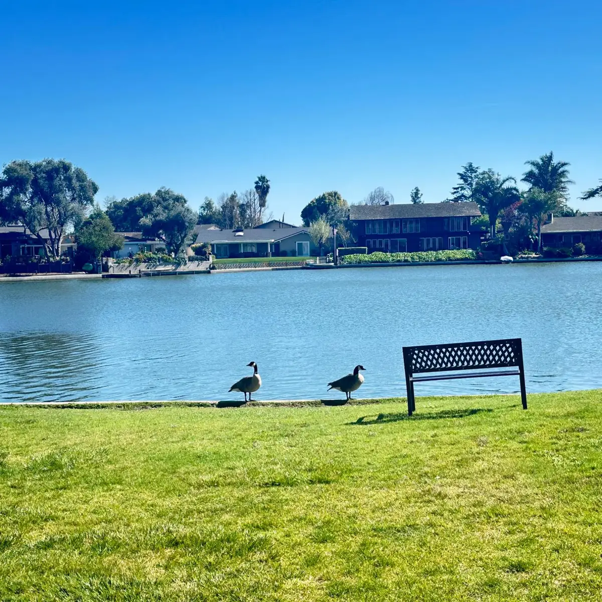 3768 W Benjamin Holt Drive #13, Stockton, CA 95219 - #1