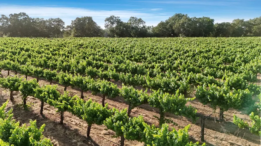 18050 N Tretheway Road, Lockeford, CA 95237 - #3