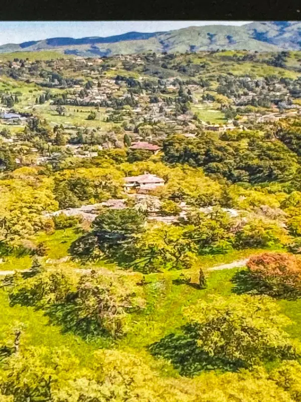 100 Los Balcones, Alamo, CA 94507