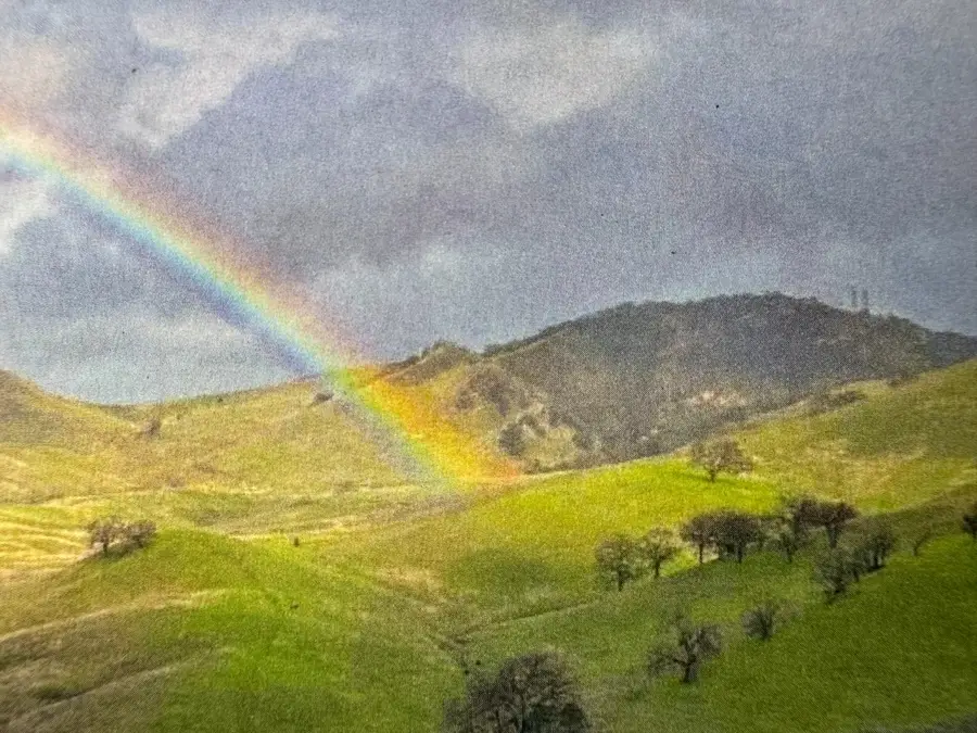 100 Los Balcones, Alamo, CA 94507 - #2