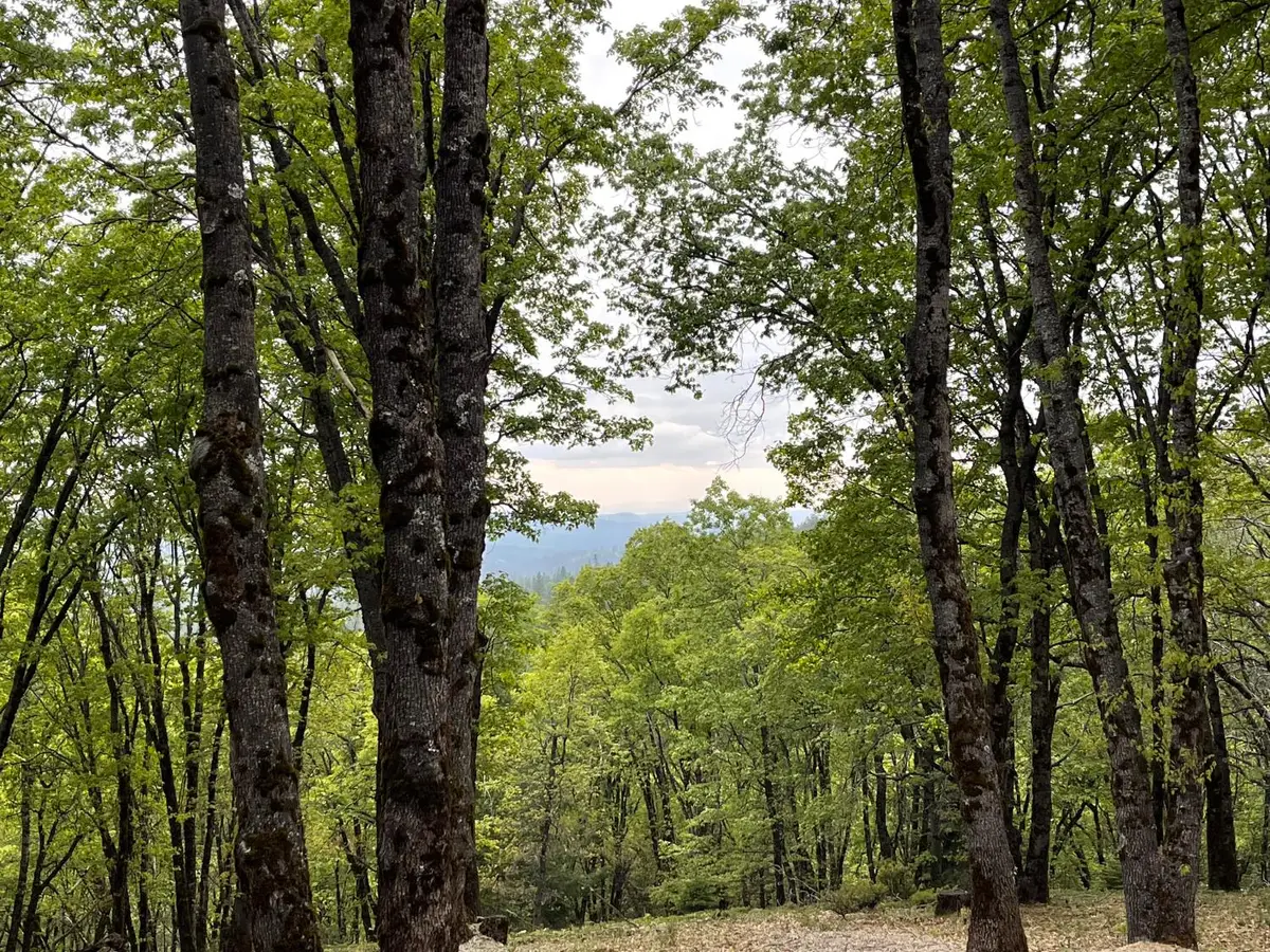 14437 Lightning Tree Road, Nevada City, CA 95959 - #1