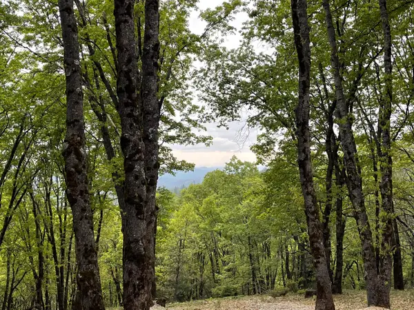 14437 Lightning Tree Road, Nevada City, CA 95959