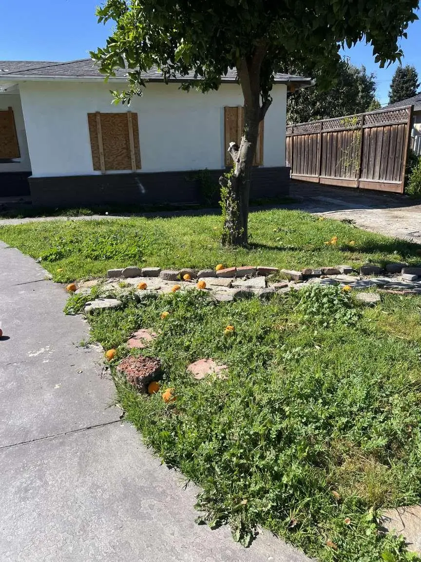 991 Wainwright Drive, San Jose, CA 95128 - #3