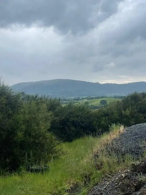 6600 Prospectors Road, Lotus, CA 95651 - #2