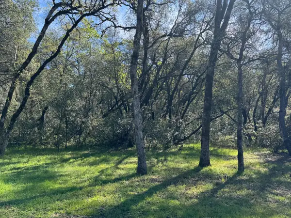 1001 Old Airport Road, Auburn, CA 95603