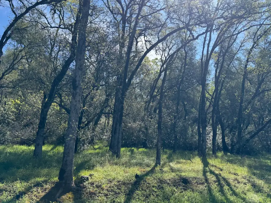 1001 Old Airport Road, Auburn, CA 95603 - #3