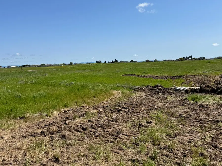 1551 Goose Creek Road, Ione, CA 95640 - #3