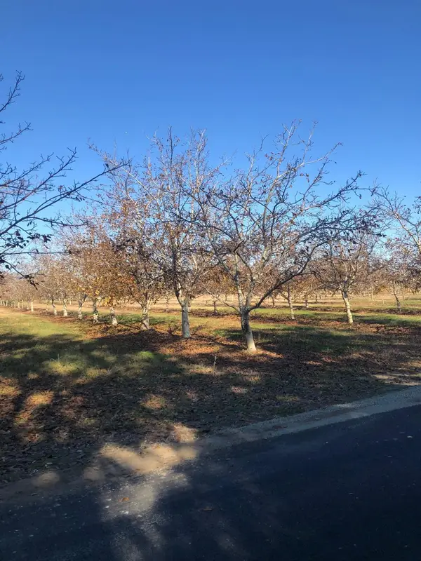 2365 Powell Road, Marysville, CA 95901