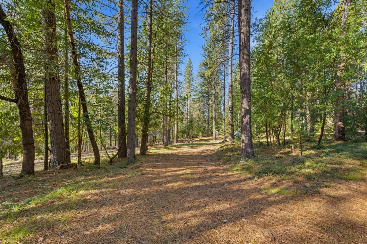 16094 Countrywood, Nevada City, CA 95959 - #1