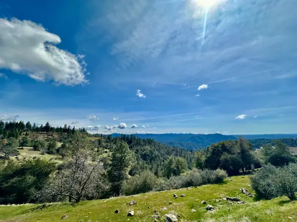 1146 Buckthorn Drive, Murphys, CA 95247