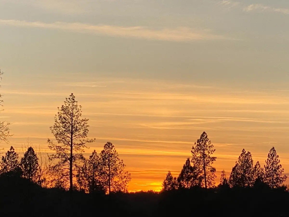 0 Hammonton Smartsville Road, Smartsville, CA 95977 - #1