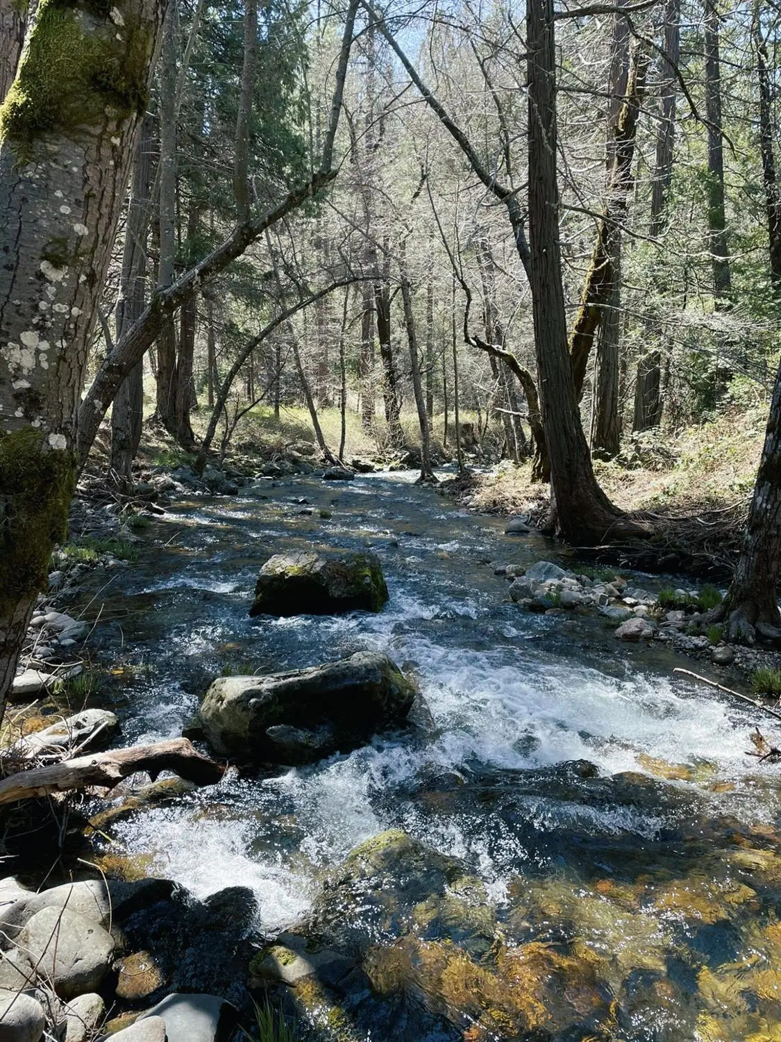 0 Parcel B Armstrong Road, Mountain Ranch, CA 95250 - #1