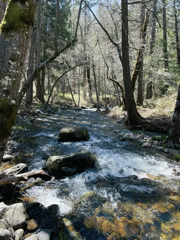 0 Parcel B Armstrong Road, Sheep Ranch, CA 95250