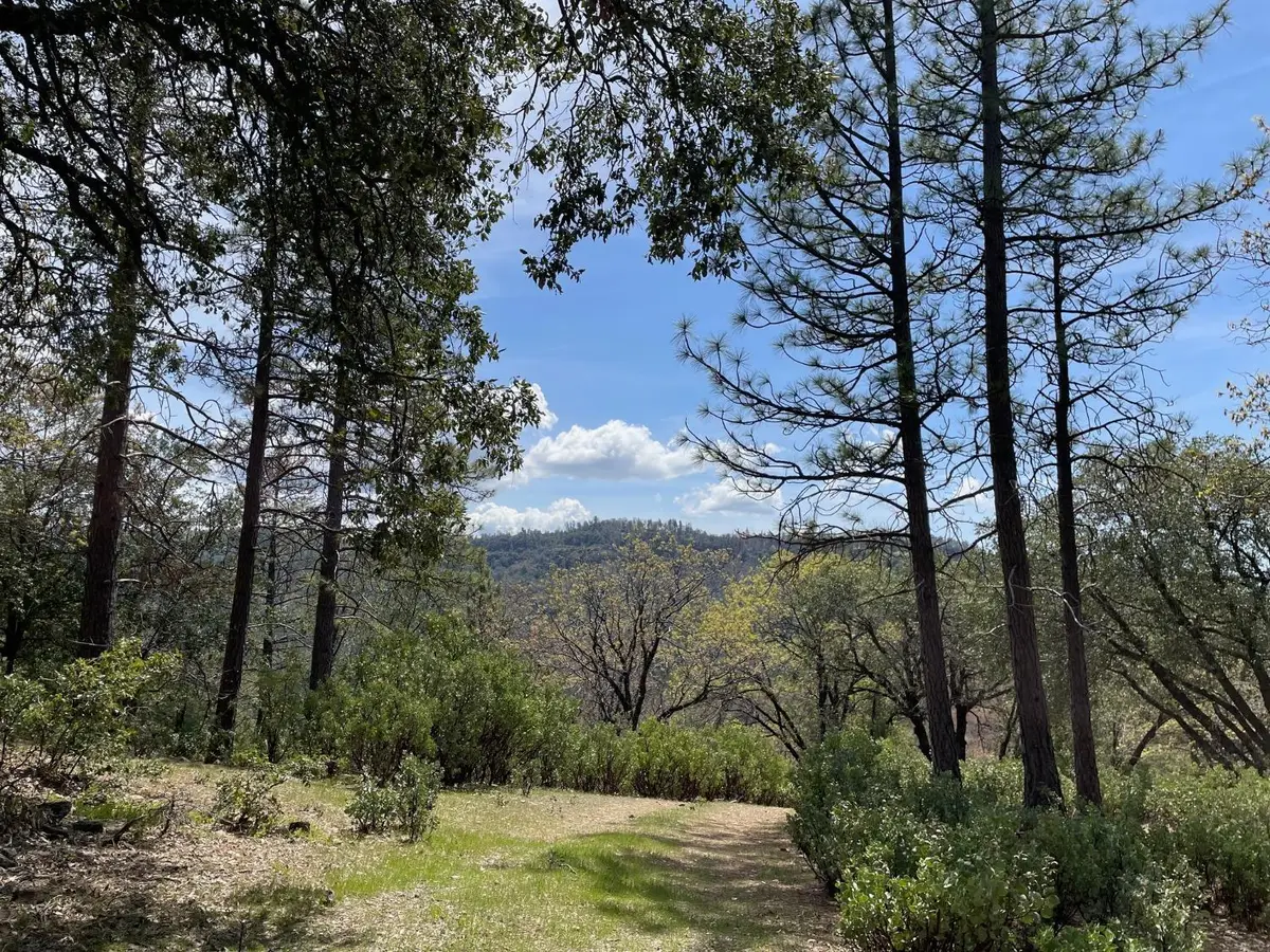 0 Armstrong Road, Sheep Ranch, CA 95246 - #1