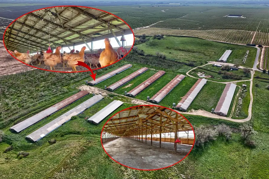 17164 Keyes Road, Snelling, CA 95369 - #3