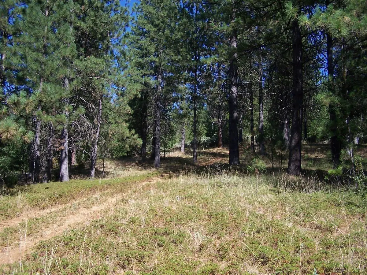 0 Parcel A Armstrong Road, Mountain Ranch, CA 95250 - #1