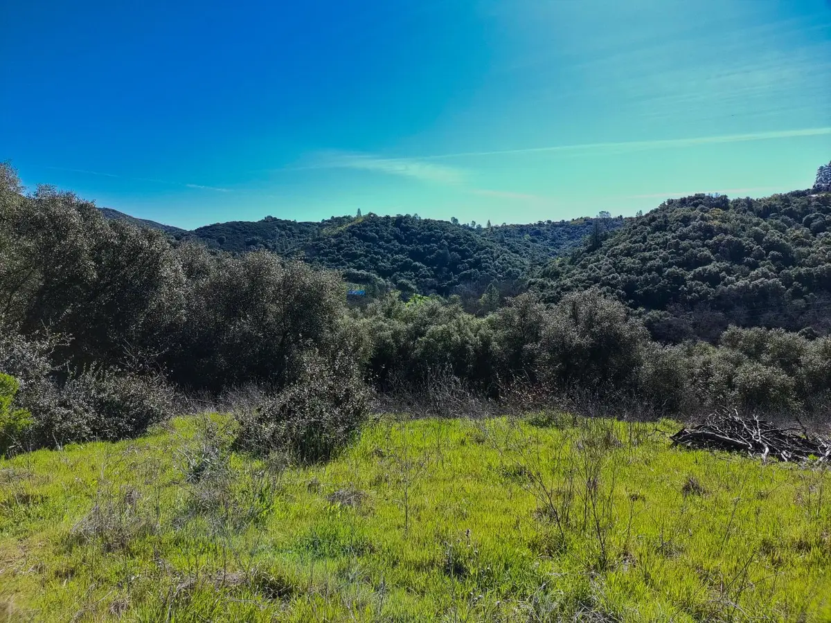 19 Leonard Road, San Andreas, CA 95249 - #1