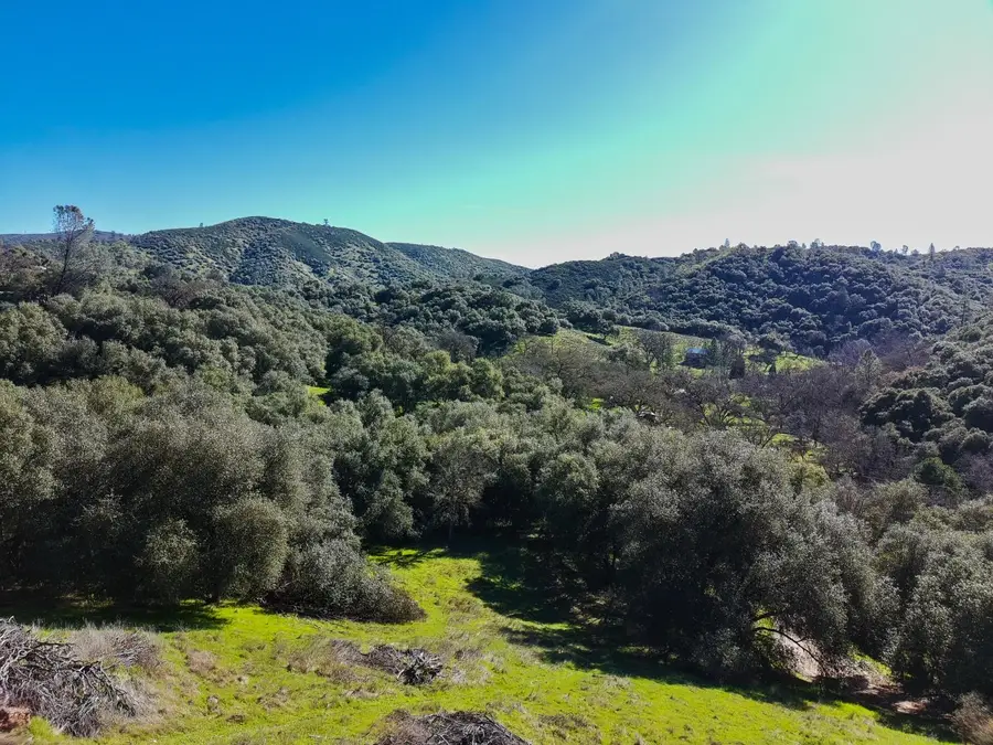 19 Leonard Road, San Andreas, CA 95249 - #3