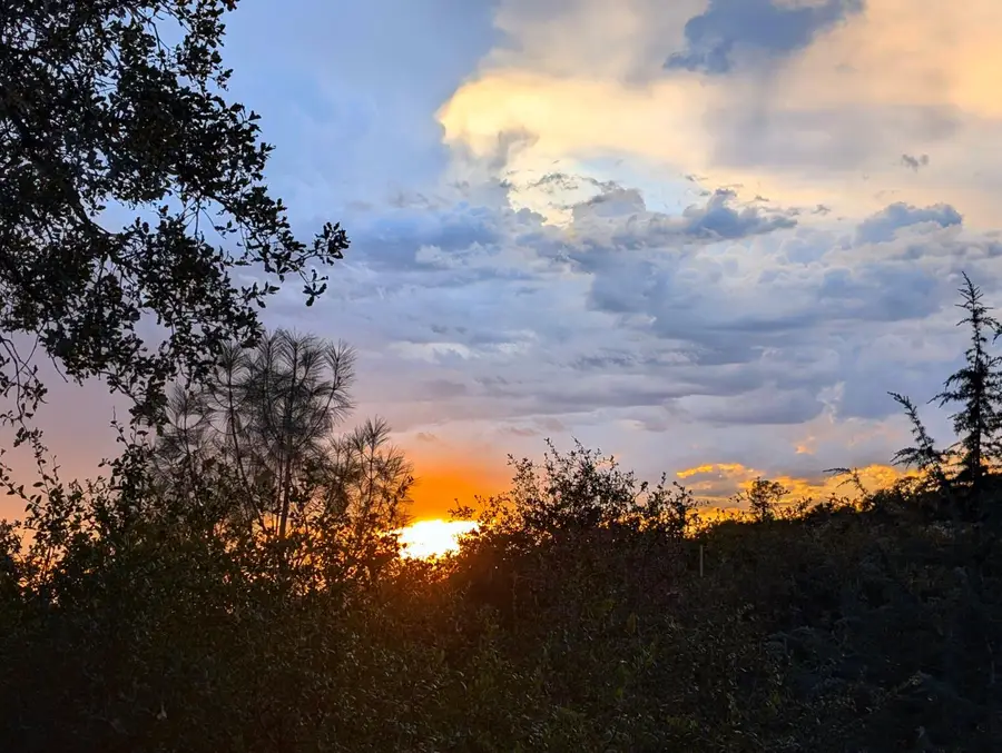 18167 Deer Run, Penn Valley, CA 95946 - #2