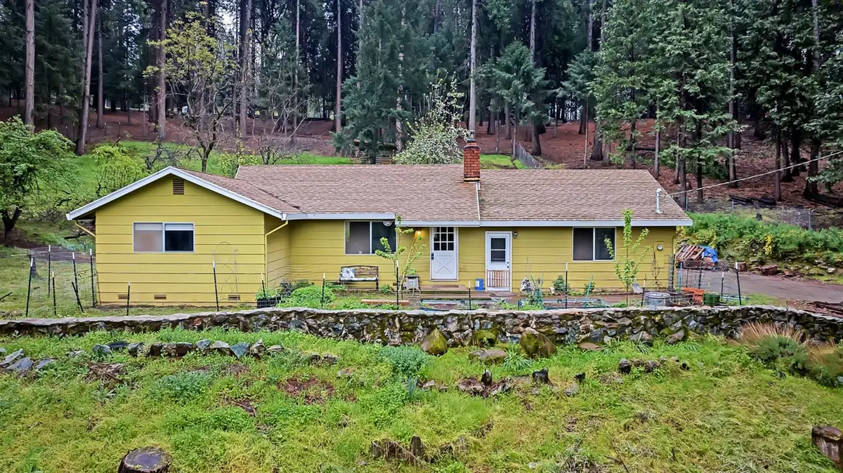 14882 Old Emigrant Road, Pioneer, CA 95666 - #1