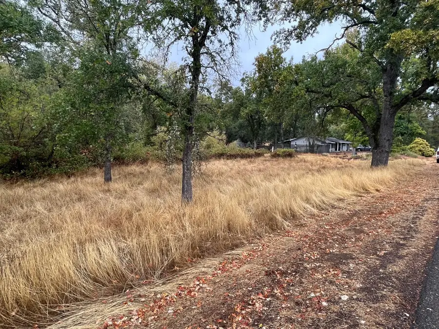 6055 Stanley Drive, Auburn, CA 95602 - #3