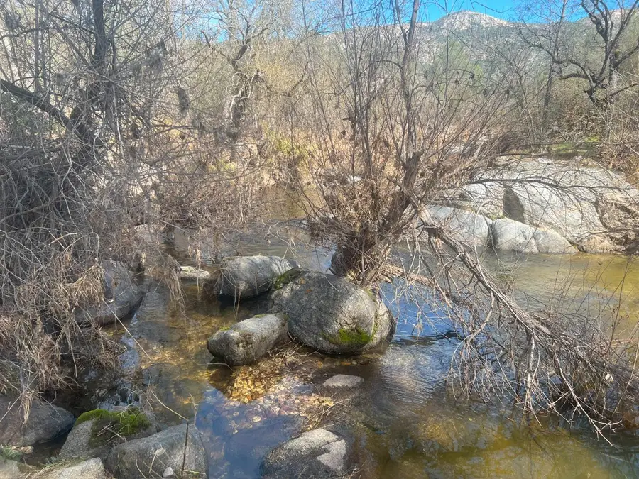 140040 Vincent Fire Road, Tollhouse, CA 93667 - #3